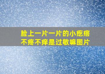 脸上一片一片的小疙瘩不疼不痒是过敏嘛图片