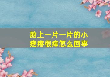 脸上一片一片的小疙瘩很痒怎么回事