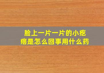 脸上一片一片的小疙瘩是怎么回事用什么药