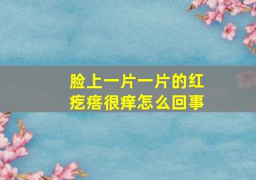 脸上一片一片的红疙瘩很痒怎么回事