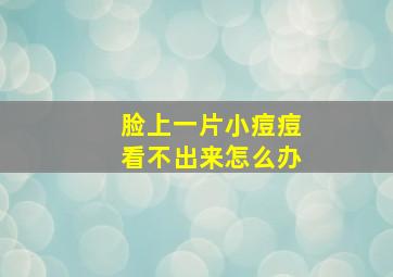 脸上一片小痘痘看不出来怎么办