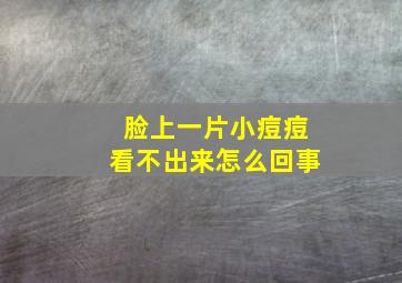 脸上一片小痘痘看不出来怎么回事