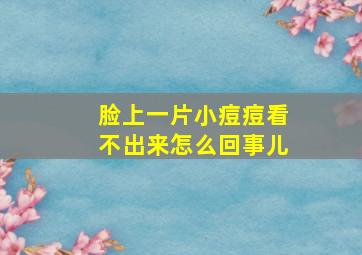 脸上一片小痘痘看不出来怎么回事儿