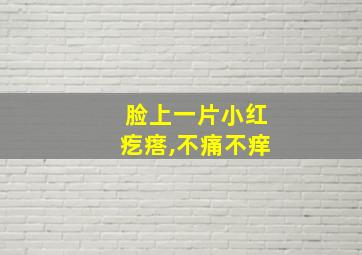 脸上一片小红疙瘩,不痛不痒