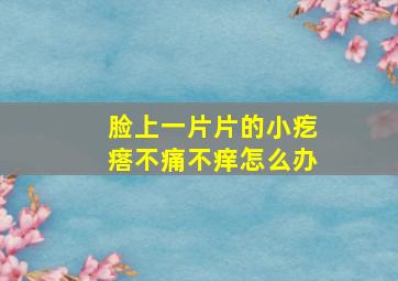 脸上一片片的小疙瘩不痛不痒怎么办