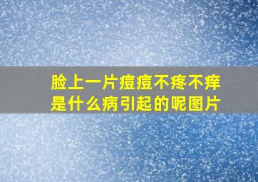 脸上一片痘痘不疼不痒是什么病引起的呢图片