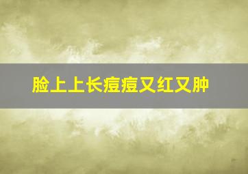 脸上上长痘痘又红又肿