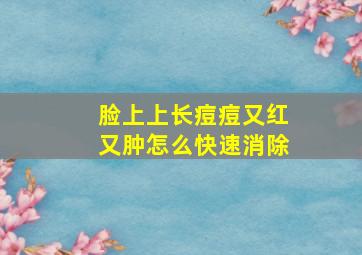 脸上上长痘痘又红又肿怎么快速消除