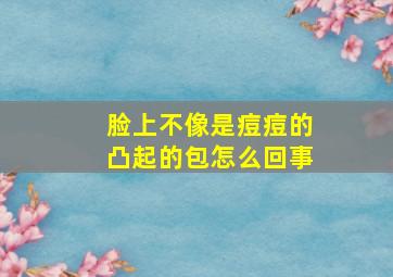 脸上不像是痘痘的凸起的包怎么回事