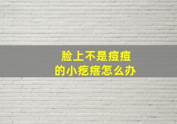 脸上不是痘痘的小疙瘩怎么办