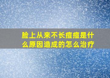 脸上从来不长痘痘是什么原因造成的怎么治疗