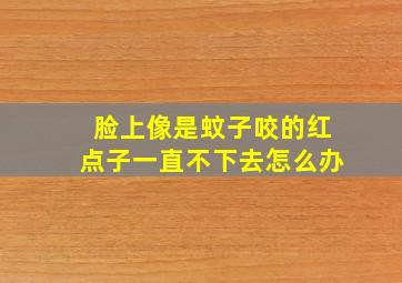 脸上像是蚊子咬的红点子一直不下去怎么办