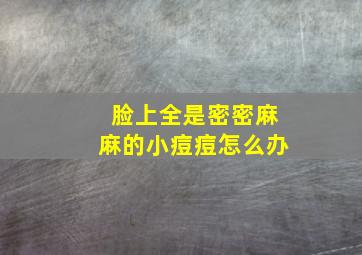 脸上全是密密麻麻的小痘痘怎么办