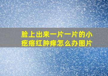 脸上出来一片一片的小疙瘩红肿痒怎么办图片