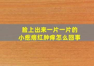 脸上出来一片一片的小疙瘩红肿痒怎么回事