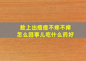 脸上出痘痘不疼不痒怎么回事儿吃什么药好