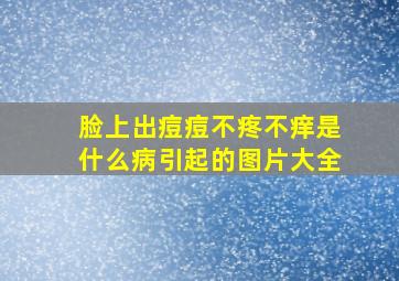 脸上出痘痘不疼不痒是什么病引起的图片大全