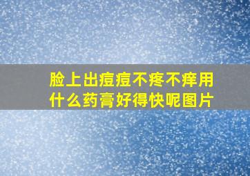 脸上出痘痘不疼不痒用什么药膏好得快呢图片