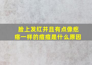 脸上发红并且有点像疙瘩一样的痘痘是什么原因