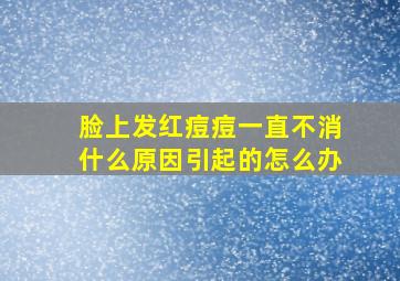 脸上发红痘痘一直不消什么原因引起的怎么办