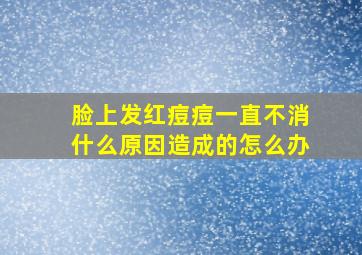 脸上发红痘痘一直不消什么原因造成的怎么办