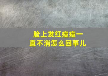 脸上发红痘痘一直不消怎么回事儿