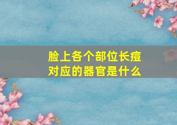 脸上各个部位长痘对应的器官是什么