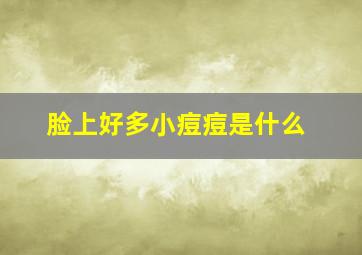 脸上好多小痘痘是什么