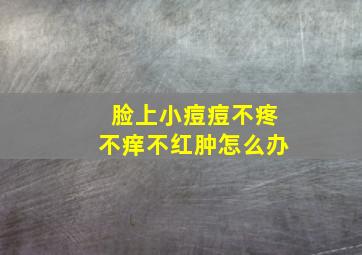 脸上小痘痘不疼不痒不红肿怎么办