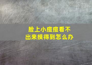 脸上小痘痘看不出来摸得到怎么办