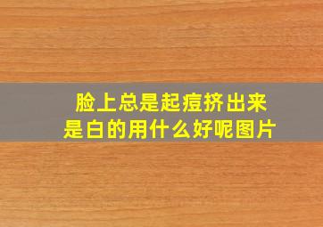 脸上总是起痘挤出来是白的用什么好呢图片