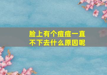 脸上有个痘痘一直不下去什么原因呢