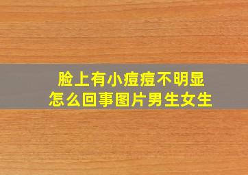 脸上有小痘痘不明显怎么回事图片男生女生