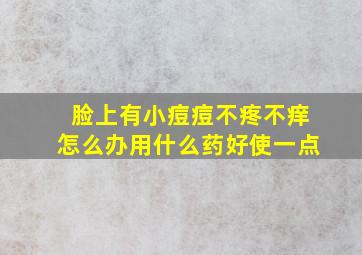 脸上有小痘痘不疼不痒怎么办用什么药好使一点