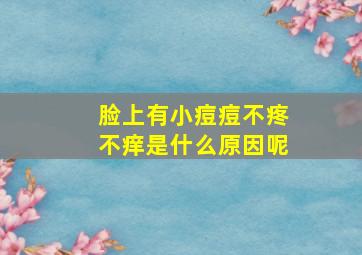 脸上有小痘痘不疼不痒是什么原因呢