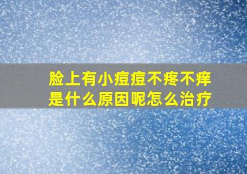 脸上有小痘痘不疼不痒是什么原因呢怎么治疗