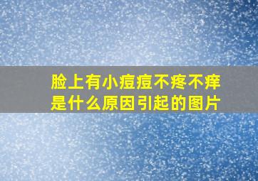 脸上有小痘痘不疼不痒是什么原因引起的图片