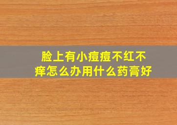 脸上有小痘痘不红不痒怎么办用什么药膏好