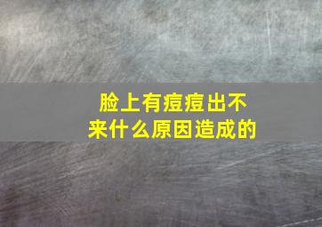 脸上有痘痘出不来什么原因造成的