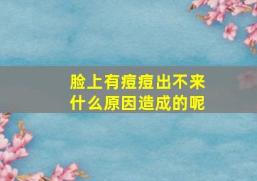 脸上有痘痘出不来什么原因造成的呢