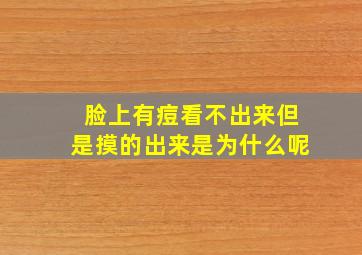 脸上有痘看不出来但是摸的出来是为什么呢