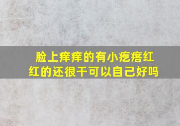 脸上痒痒的有小疙瘩红红的还很干可以自己好吗