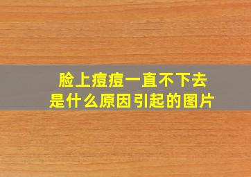 脸上痘痘一直不下去是什么原因引起的图片