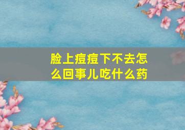 脸上痘痘下不去怎么回事儿吃什么药