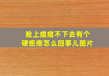 脸上痘痘不下去有个硬疙瘩怎么回事儿图片