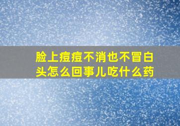 脸上痘痘不消也不冒白头怎么回事儿吃什么药