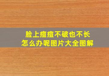 脸上痘痘不破也不长怎么办呢图片大全图解