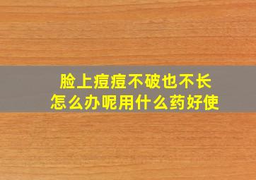 脸上痘痘不破也不长怎么办呢用什么药好使