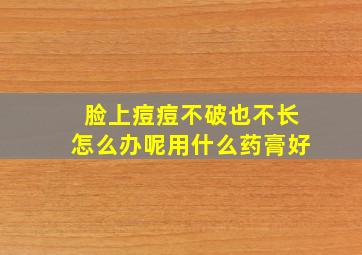 脸上痘痘不破也不长怎么办呢用什么药膏好