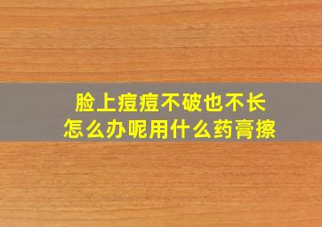 脸上痘痘不破也不长怎么办呢用什么药膏擦